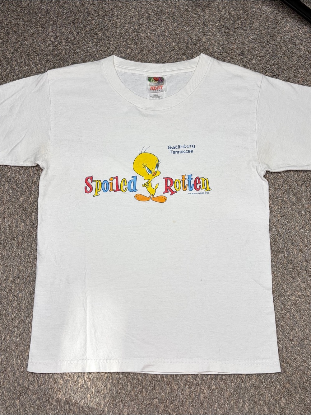 Vintage 90s Tweety Bird Spoiled Rotten Graphic Short Sleeve Tshirt size 10/12/L